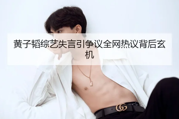 黄子韬综艺失言引争议全网热议背后玄机